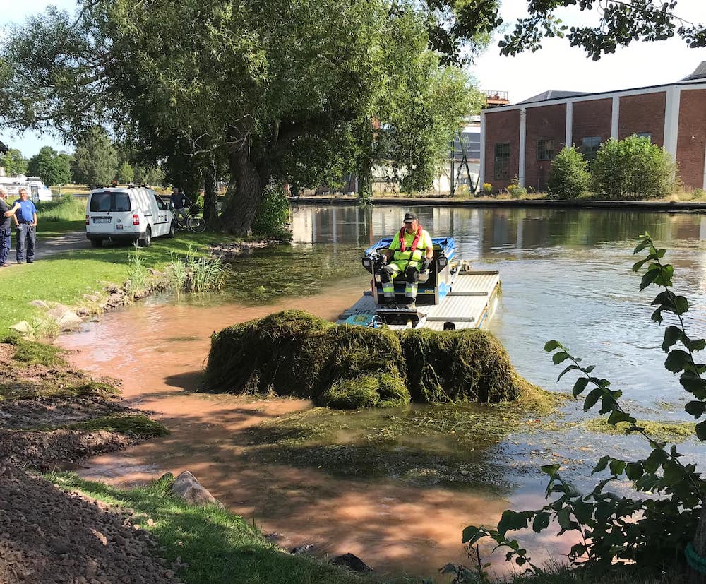 Klippning av vattenpest i Göta kanal