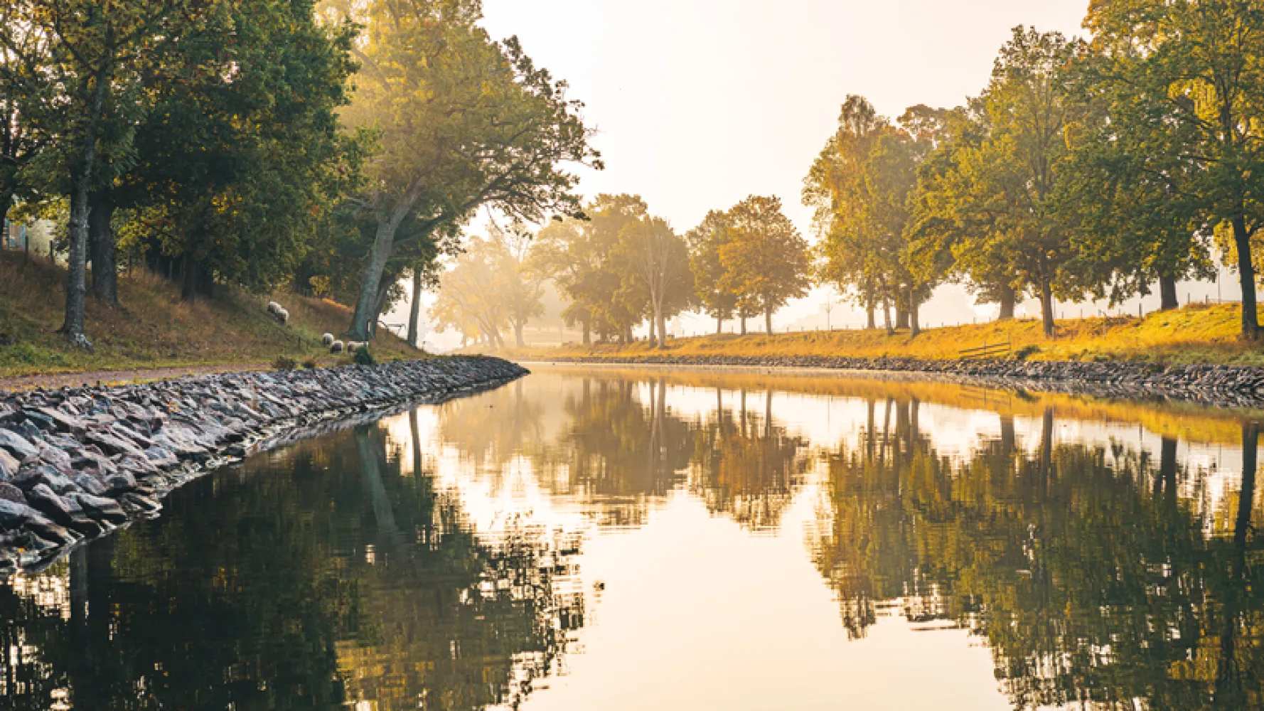Soldis i trädallén längs Göta kanal