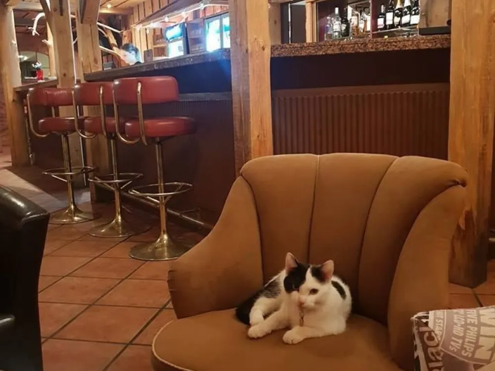 Hotel Wettern