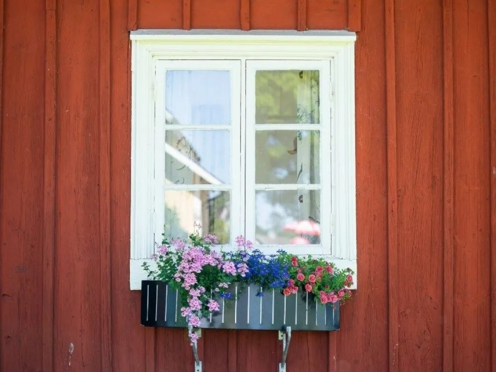 Jonsboca café and camping 