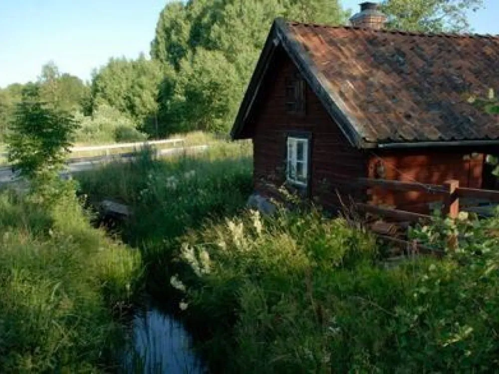 SMEDJAN "kojan"