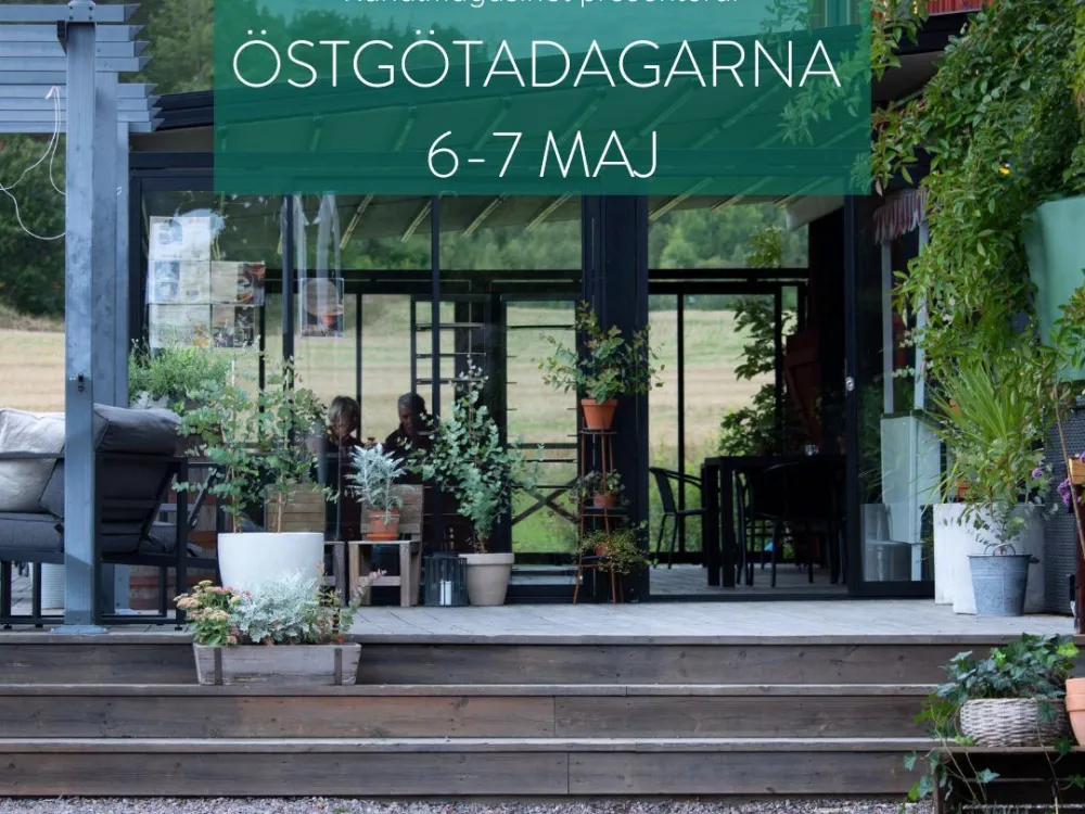 Östgötadagarana
