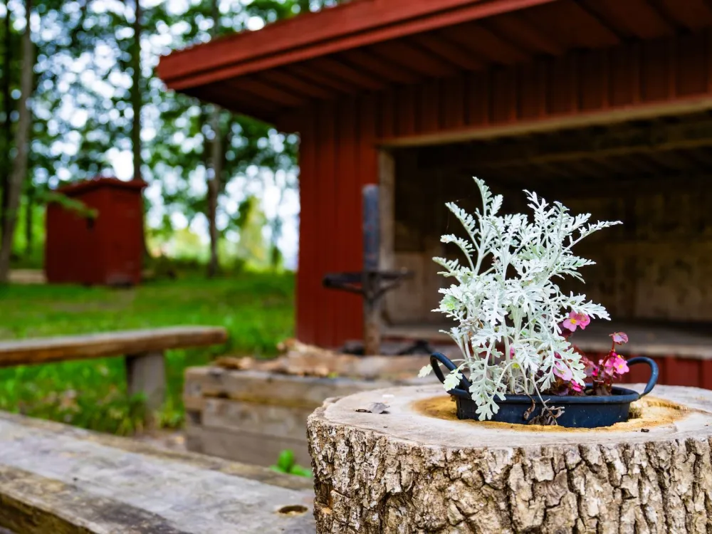 Rest stop with waterless toilet at Täppekröken