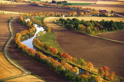 Trädallén längs Göta kanal i höstfärger