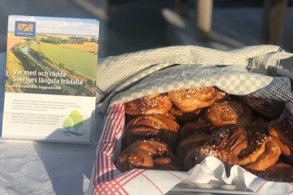 Kanalbullar vid trädplanteringsceremoni