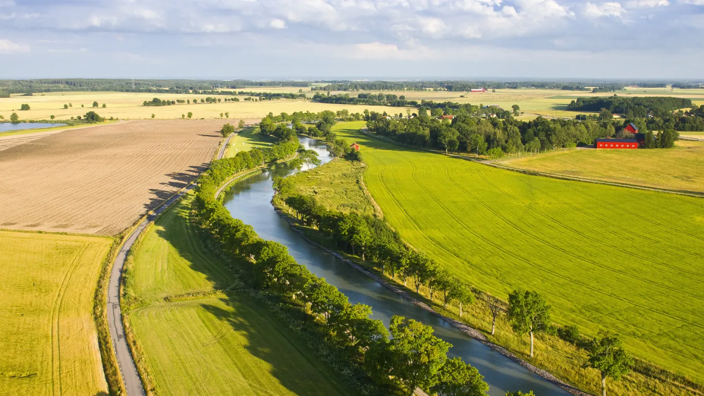 Trädallén längs Göta kanal